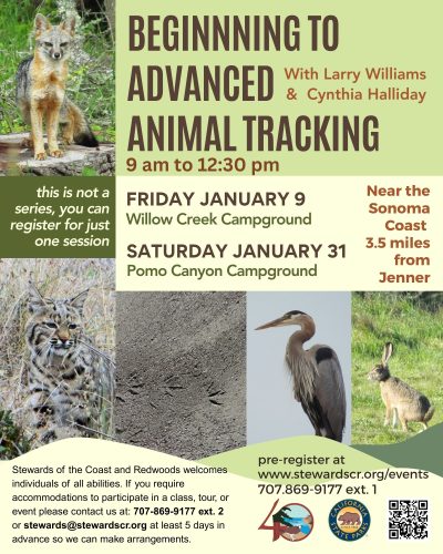 Beginning to Advanced Animal Tracking 1