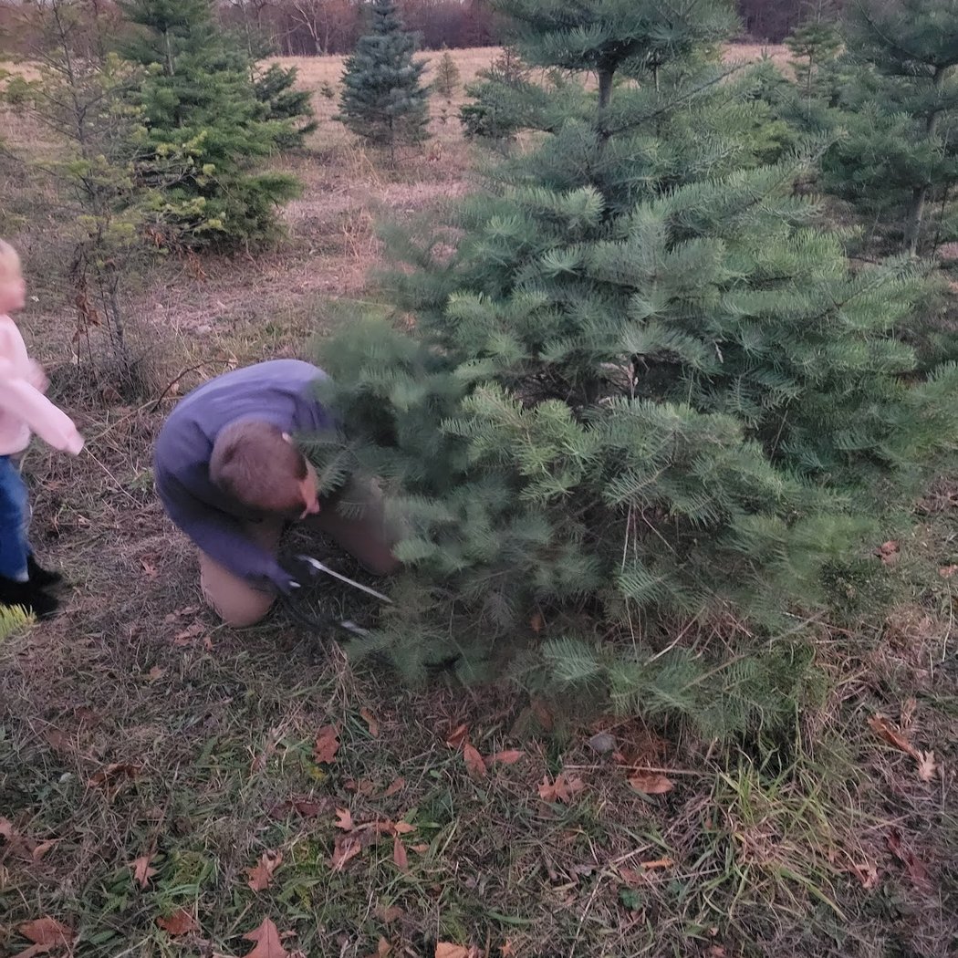 Middle Road Tree Farm 2