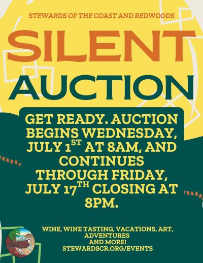 Stewards Summer Auction 2026 1