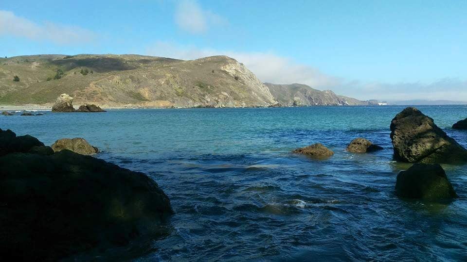 Muir Beach Holiday Arts Fair 2025 2