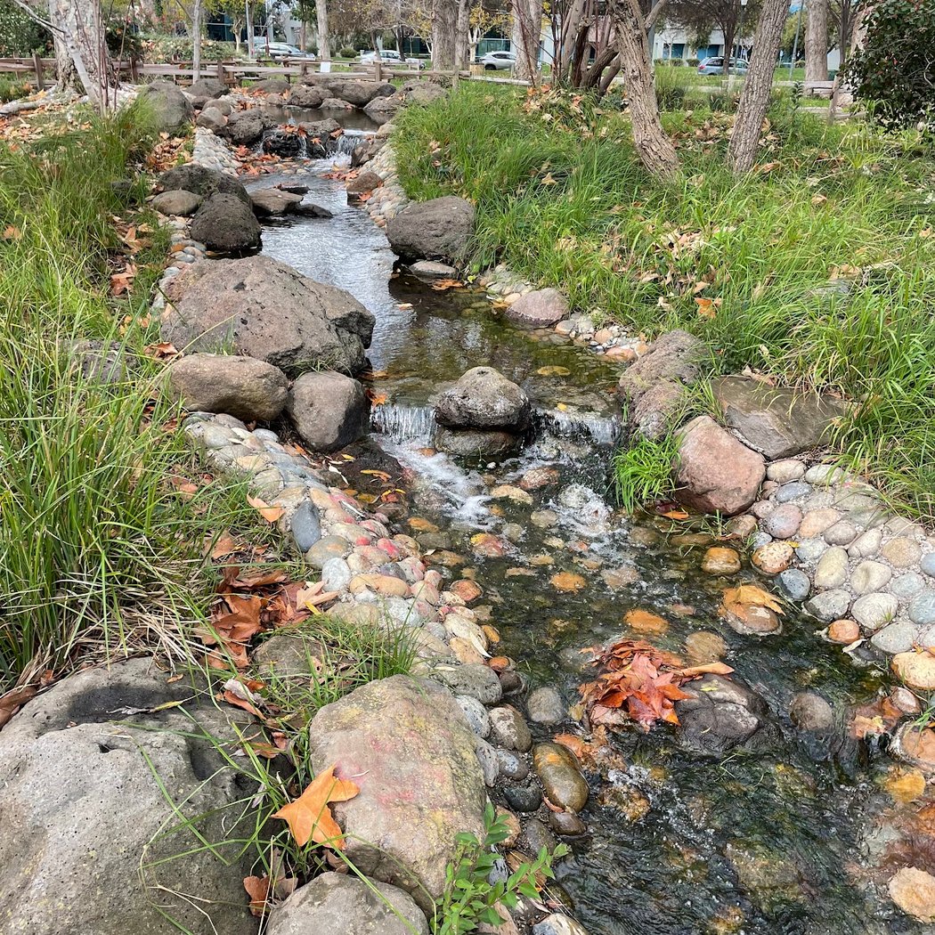 Edith Morley Park 3