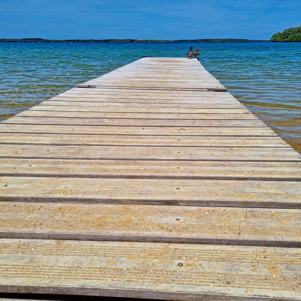 Plage de Mesnil Saint Père 1