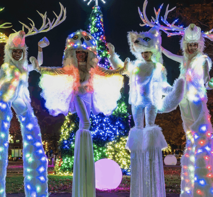 Holiday Lights 1