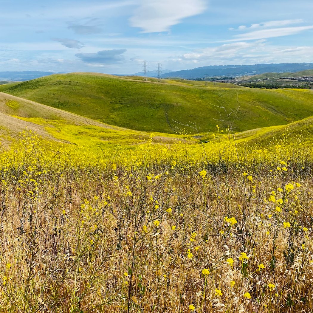 Dougherty Valley Ridge Trail 1