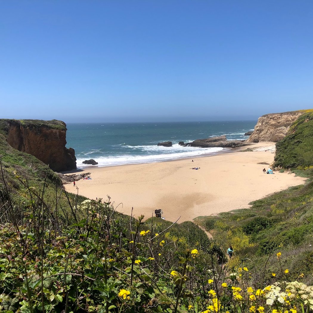 Panther Beach 2
