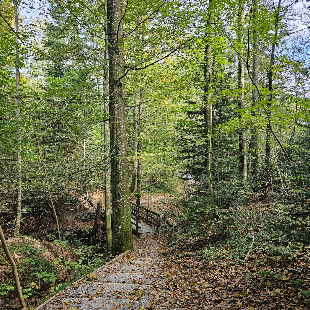 Vitaparcours Zürich-Fluntern