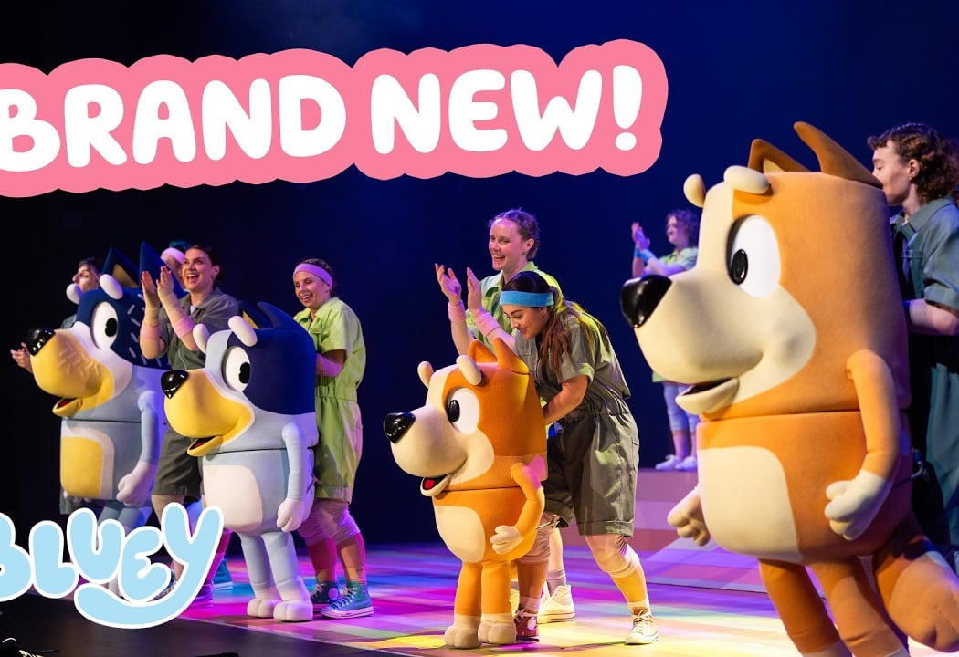 Bluey’s BigPlay 1