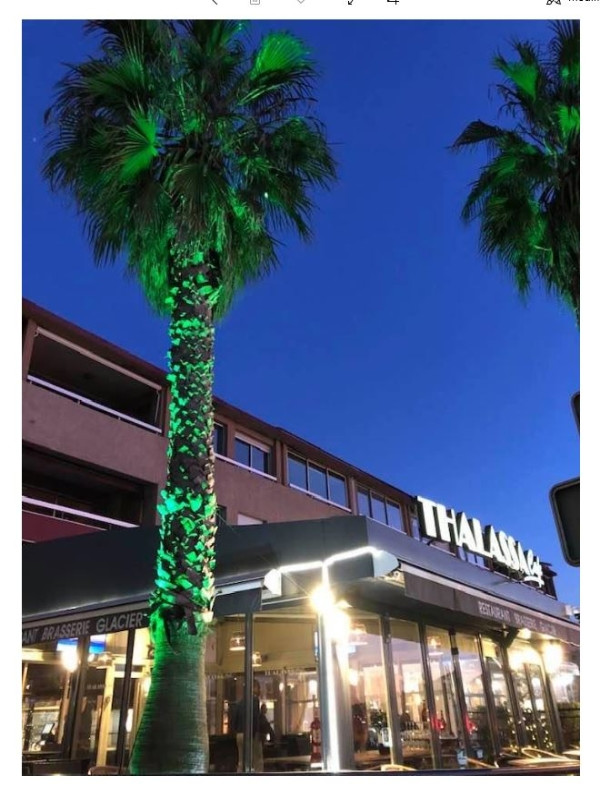 New Thalassa 3