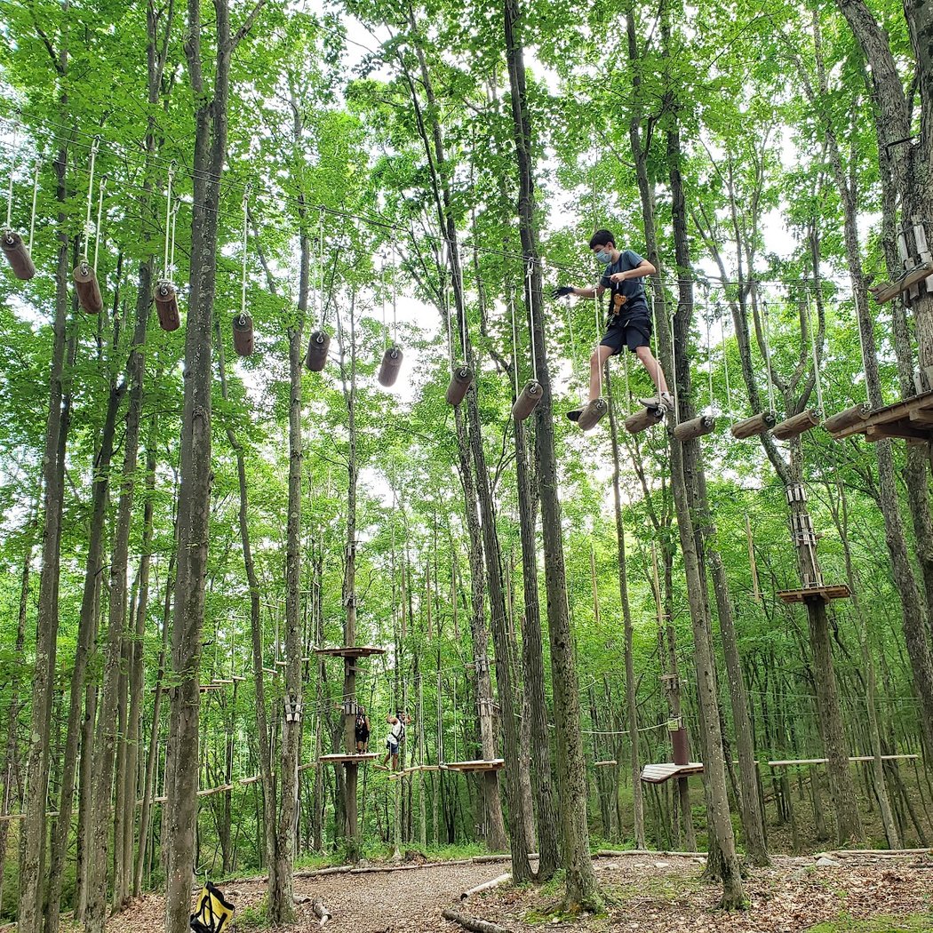 Gorilla Grove Treetop Adventures 1