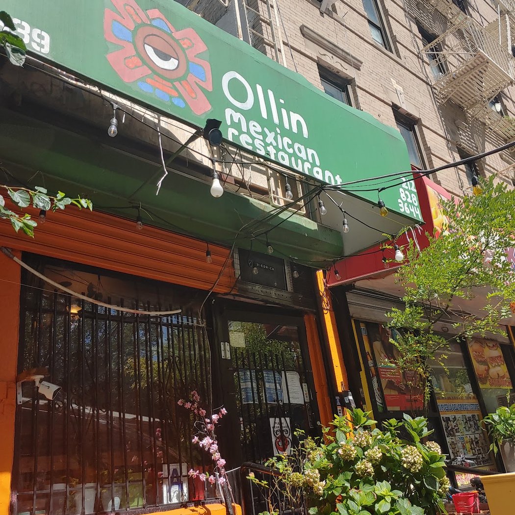 Ollin NYC 2