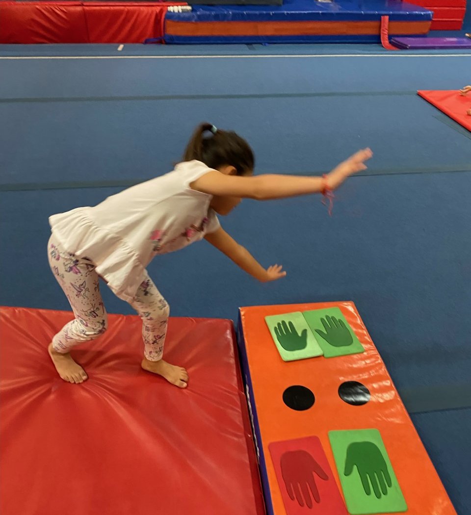 Apex Gymnastics 3