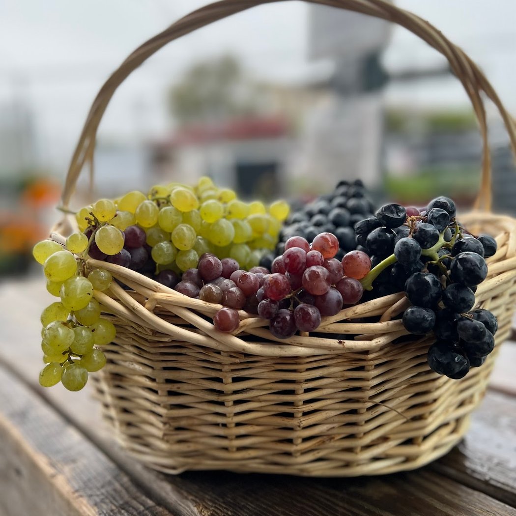 Lapide Wine Grape and Juice 2