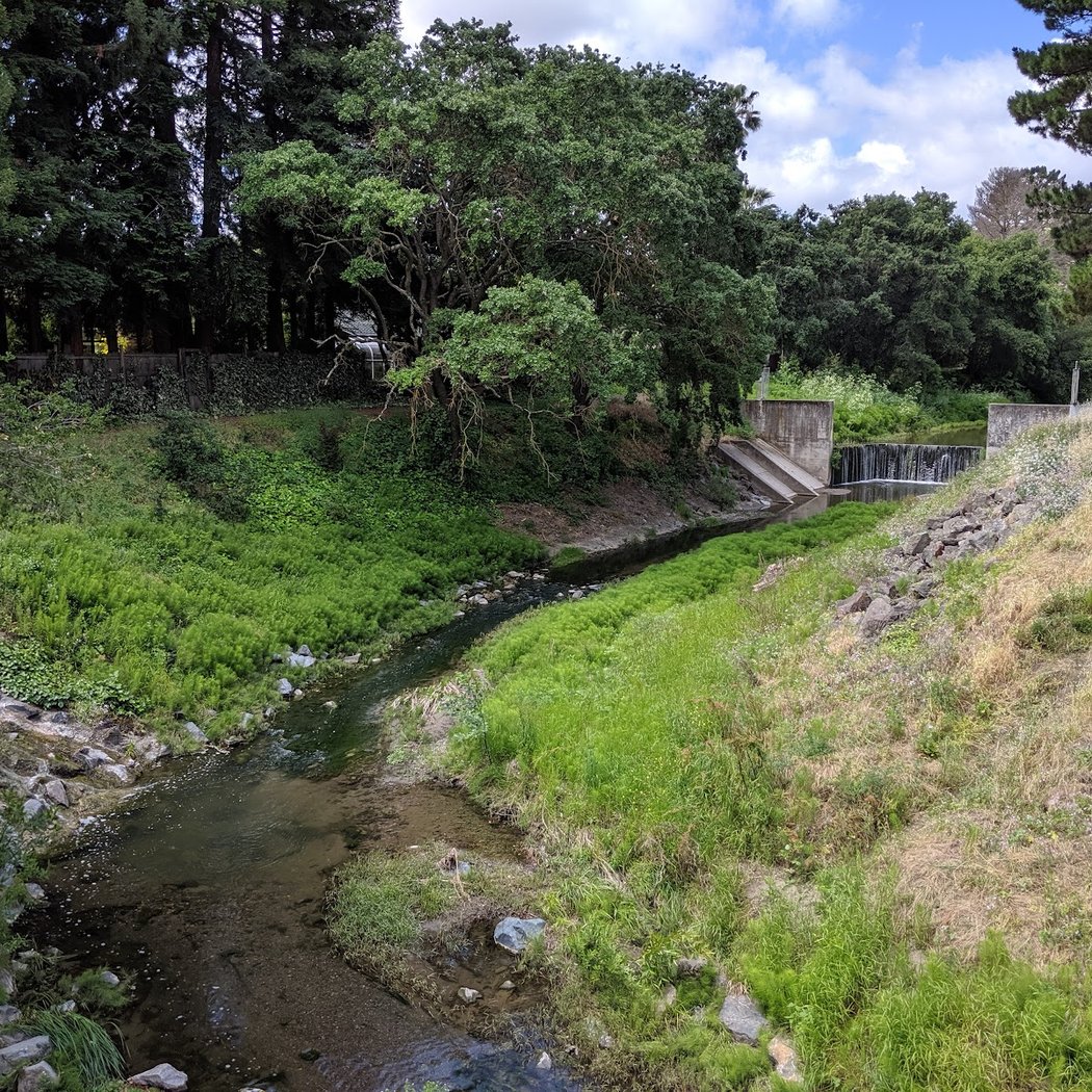 Greenbrook School Park 2