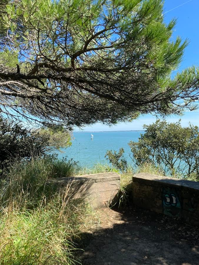 GR34 Le sentier des douaniers 5