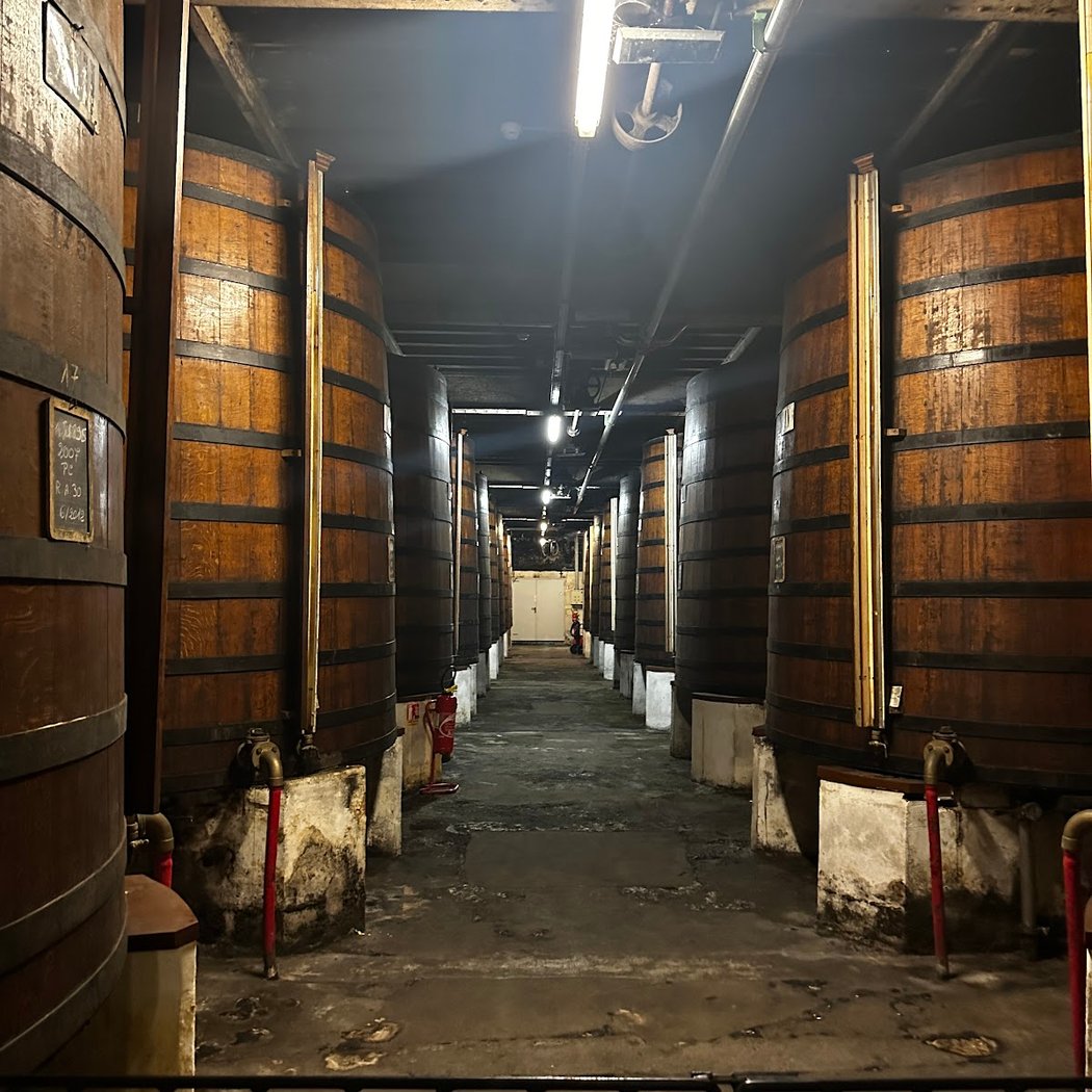 Martell Cognac's Visitors Center 2