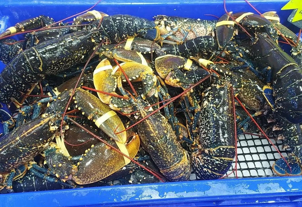 Poissonnerie Frissard 1