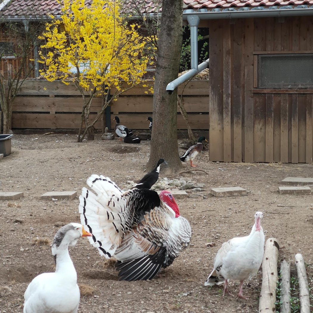 Umweltgarten 1