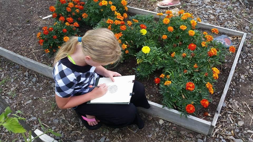 Botanical Watercolor Painting with Roberta Rosenthal 1