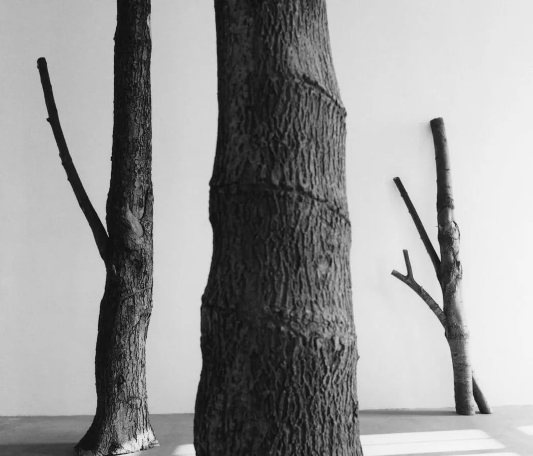 Exposition Arte Povera 1