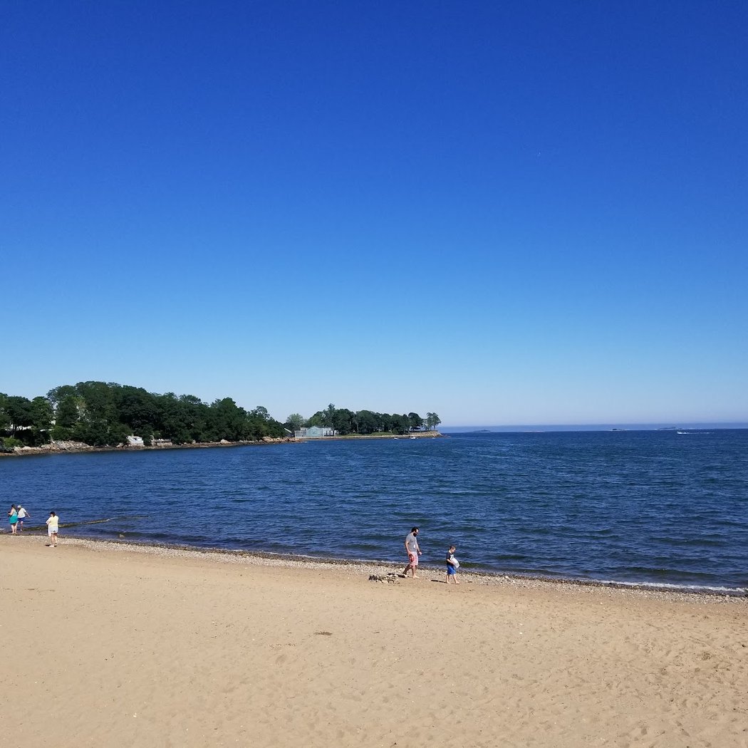 Dane Street Beach 2