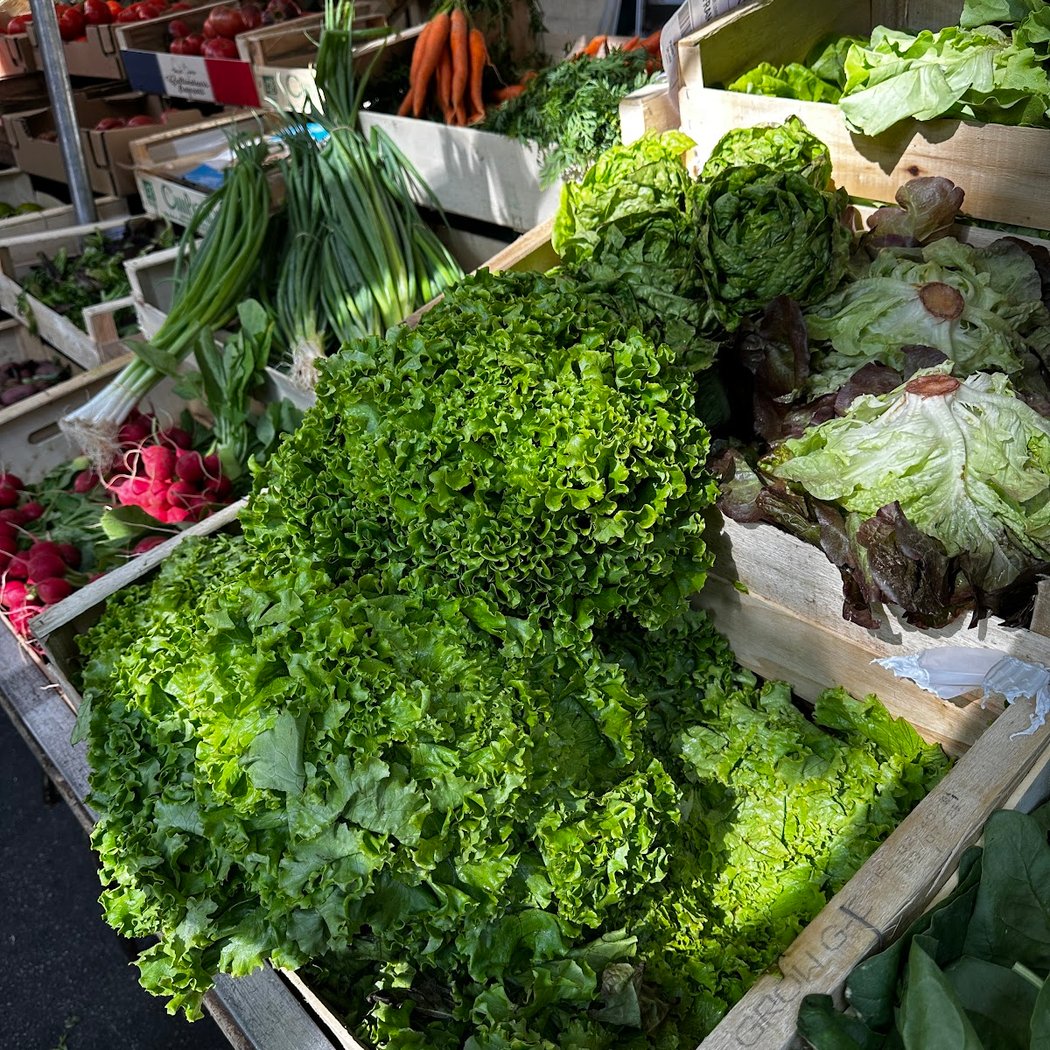 Farmers MARKET 3