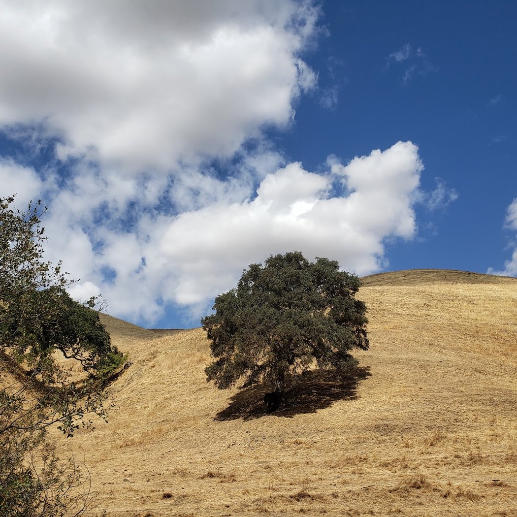 Black Diamond Hiking Trail Near Oakhurst 3