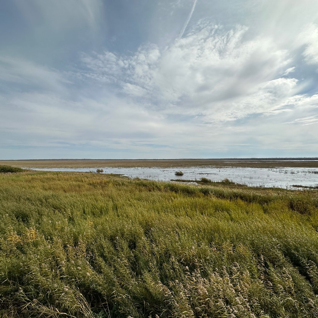Webinar: Sulfide mining’s looming threat to Minnesota and the Mississippi River 3