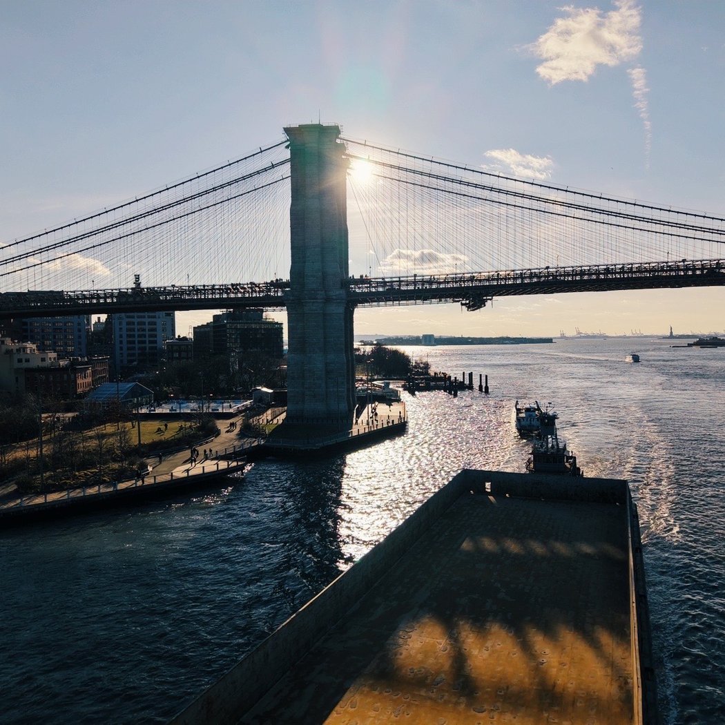 Dumbo Boardwalk 2