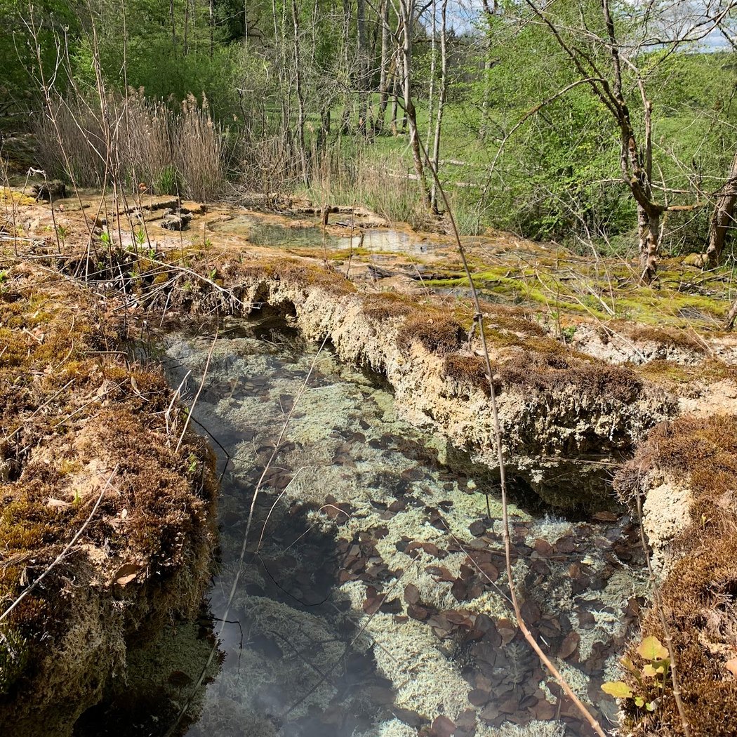 Cascades d'Étufs (Source Pétrifiante) 2