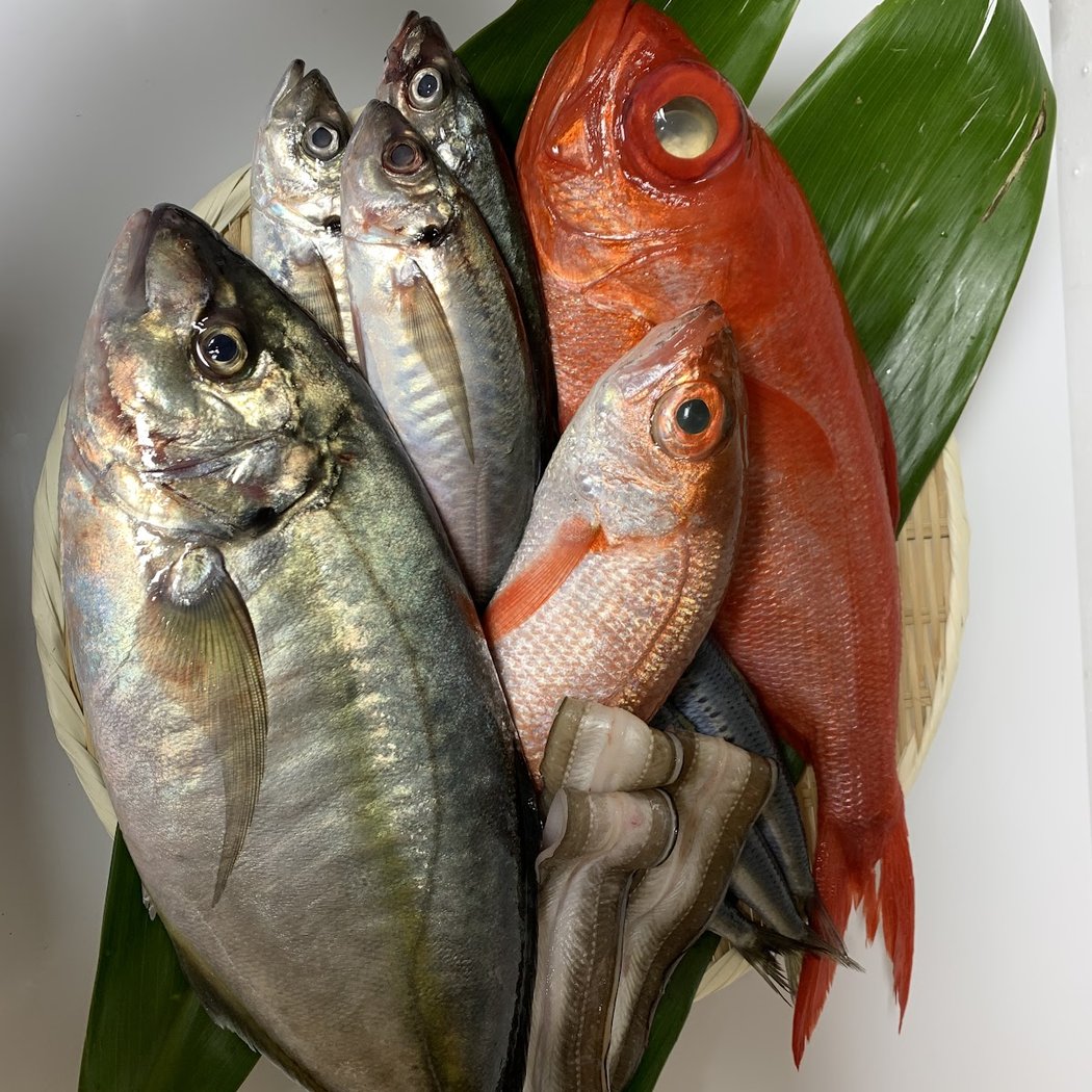 Omakase SUSHI DAIRO 3