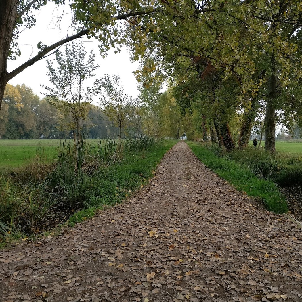 Parco Agricolo Ticinello 2