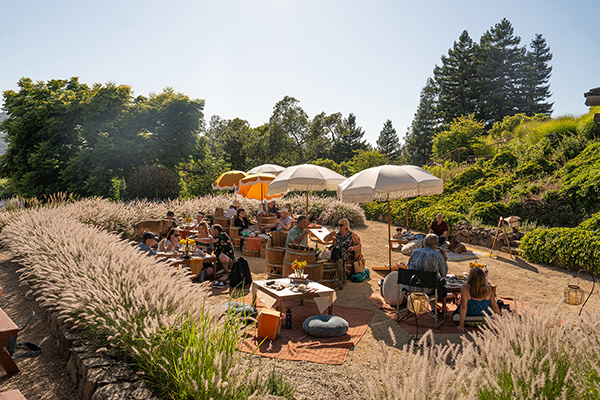 Matanzas Creek Winery 2