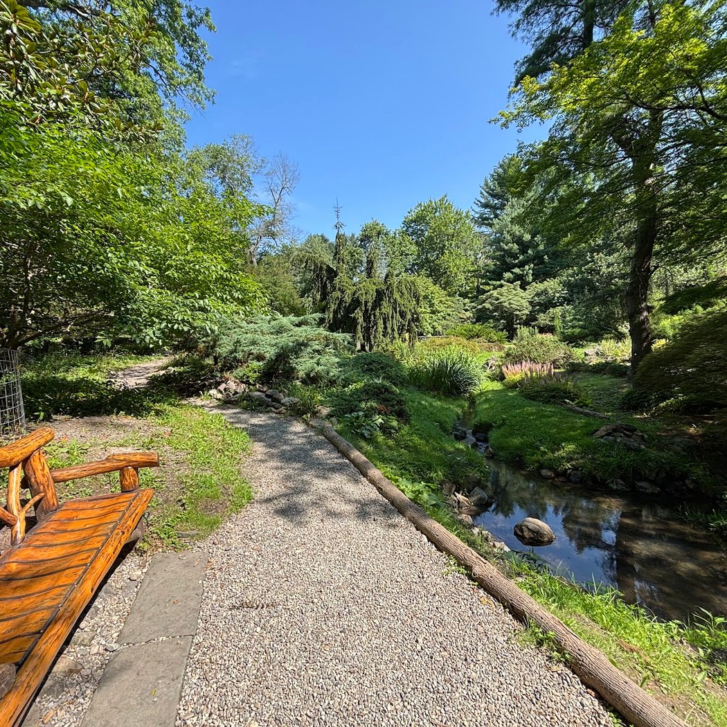 Laurelwood Arboretum 2