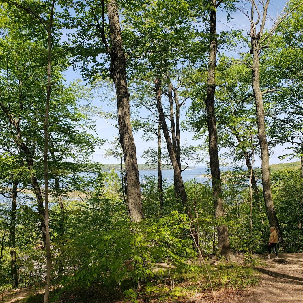 Cold Spring Harbor State Park 4
