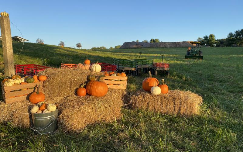 Fall Harvest Celebration 3