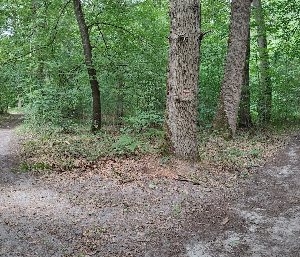 Chemin de Brenouille (sud) 1