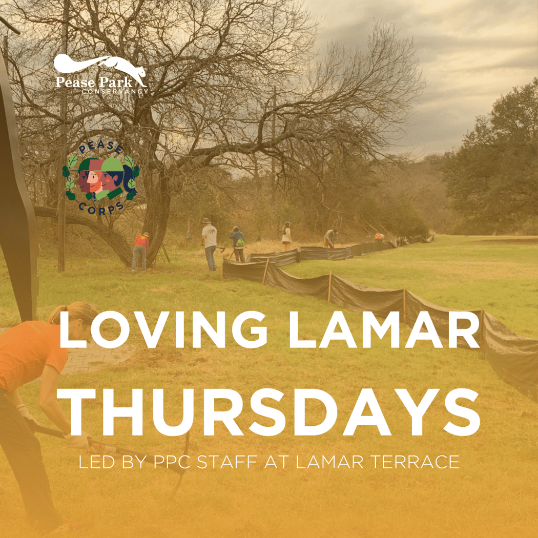 Loving Lamar Thursday 1