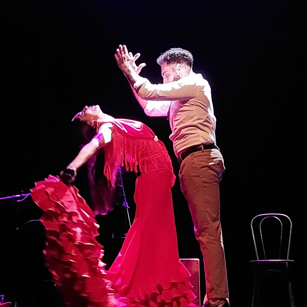 Noches de Flamenco 3