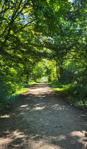 Balade Meudon 2