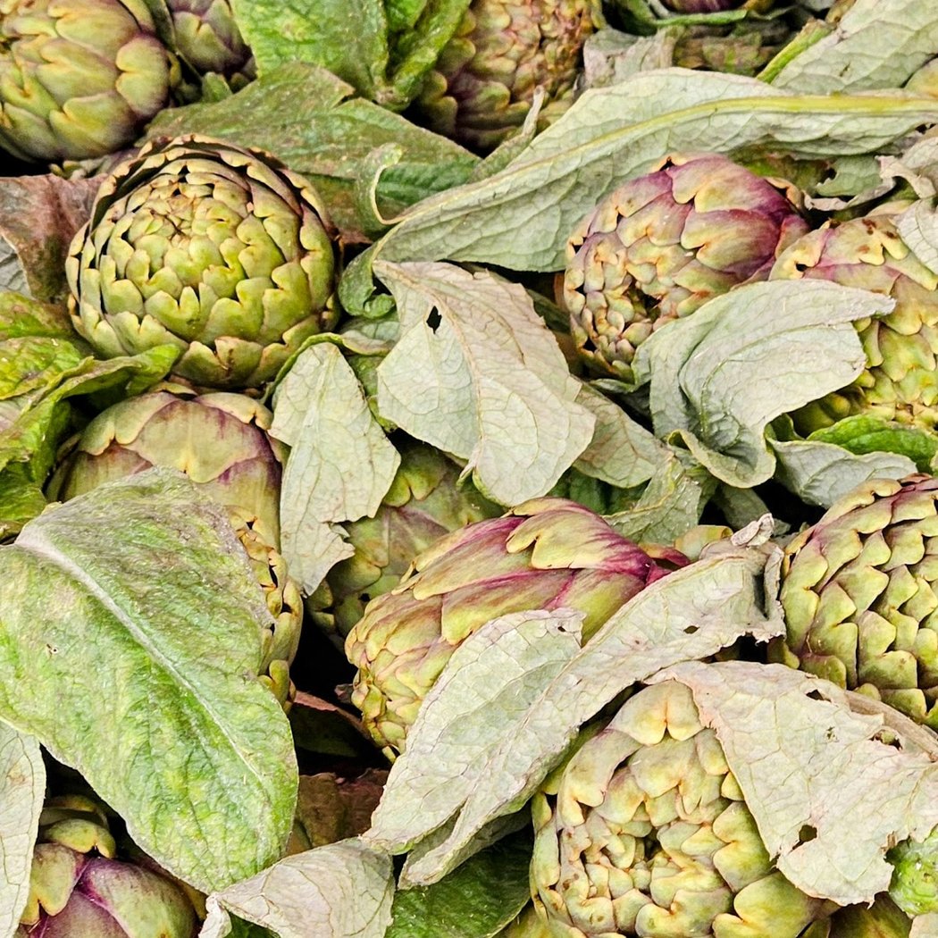 Marché couvert (Les Halles) 1