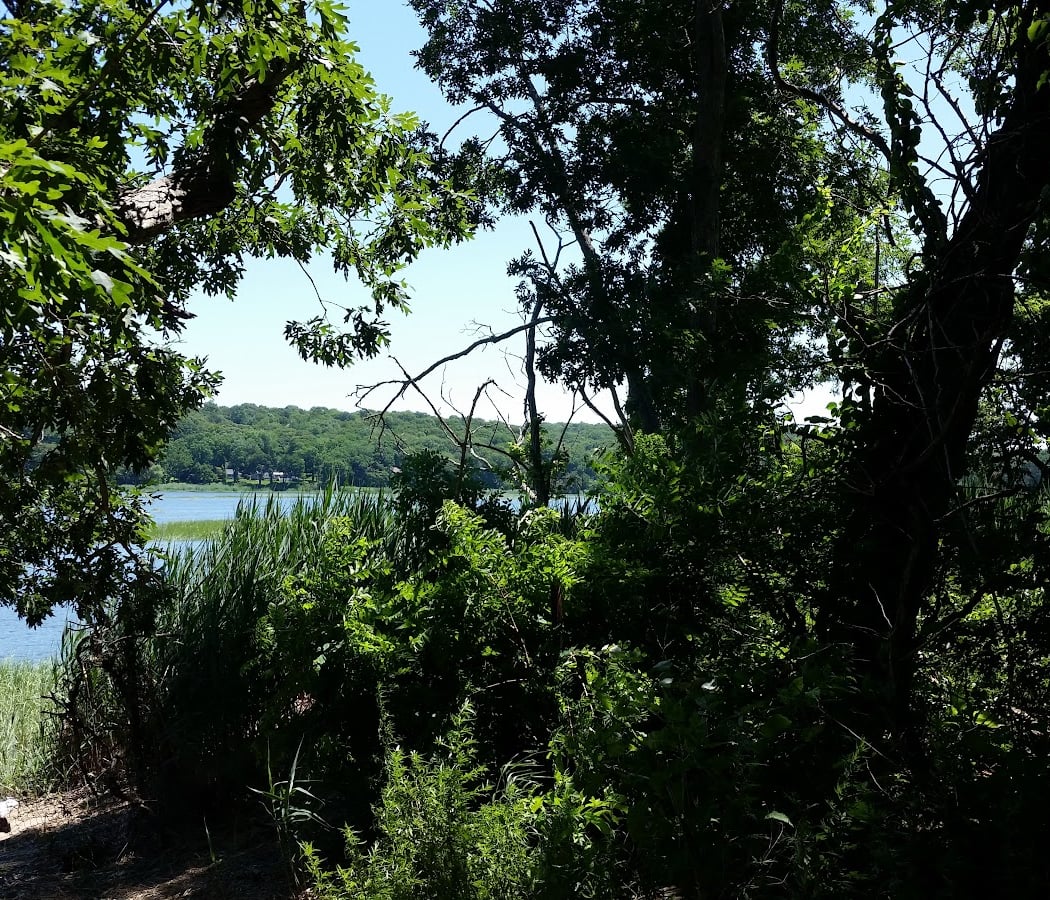 Greenbelt Trail 3