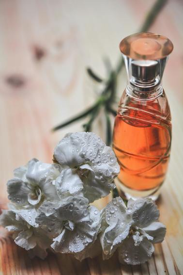 Fragrance Appreciation for Curious Beginners 1