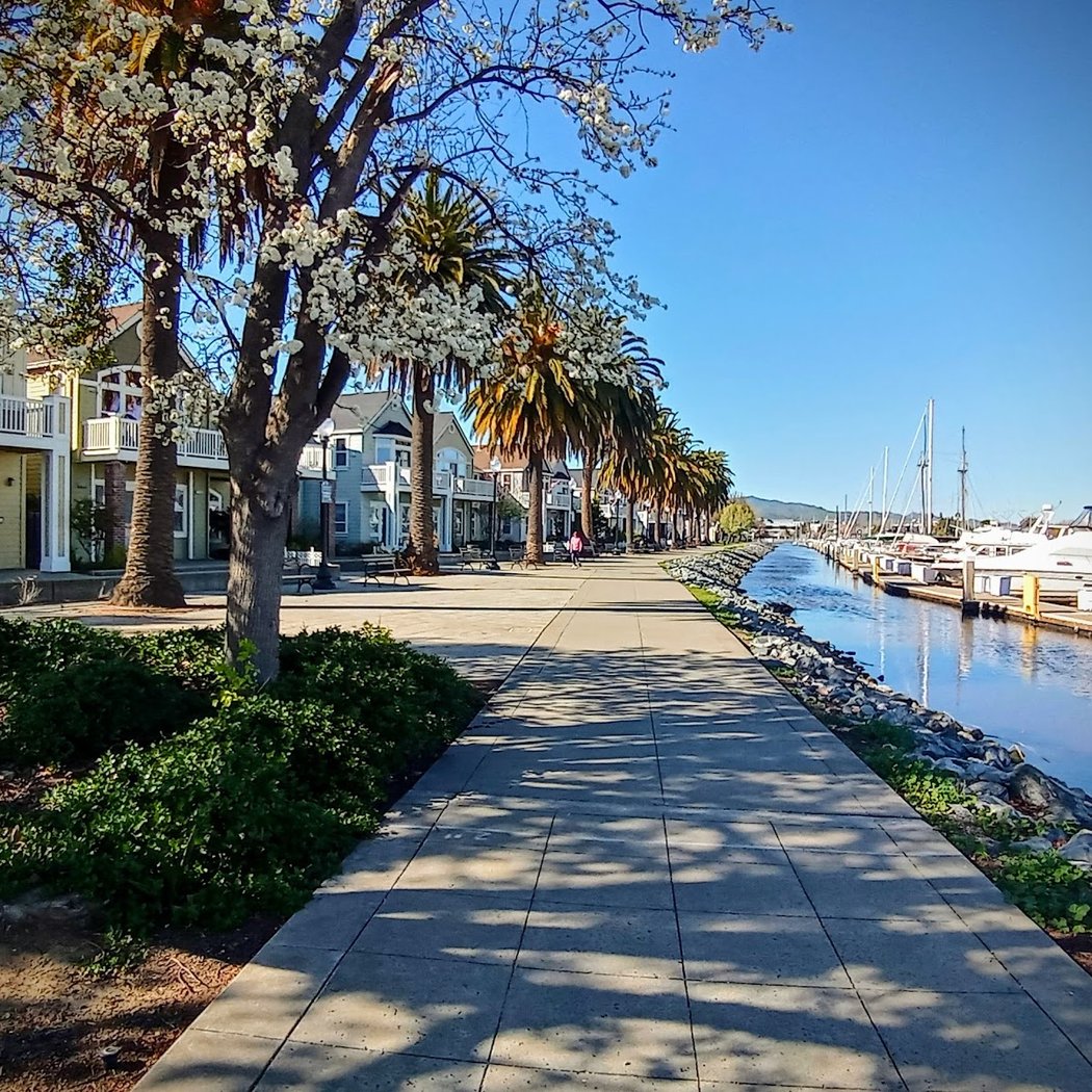 Suisun City Marina 1