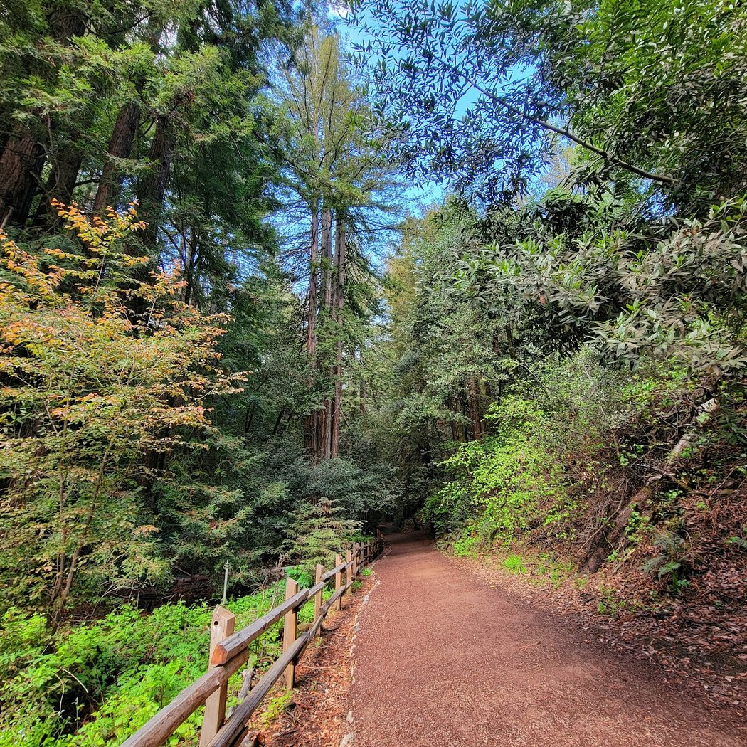 Stream Trail 3