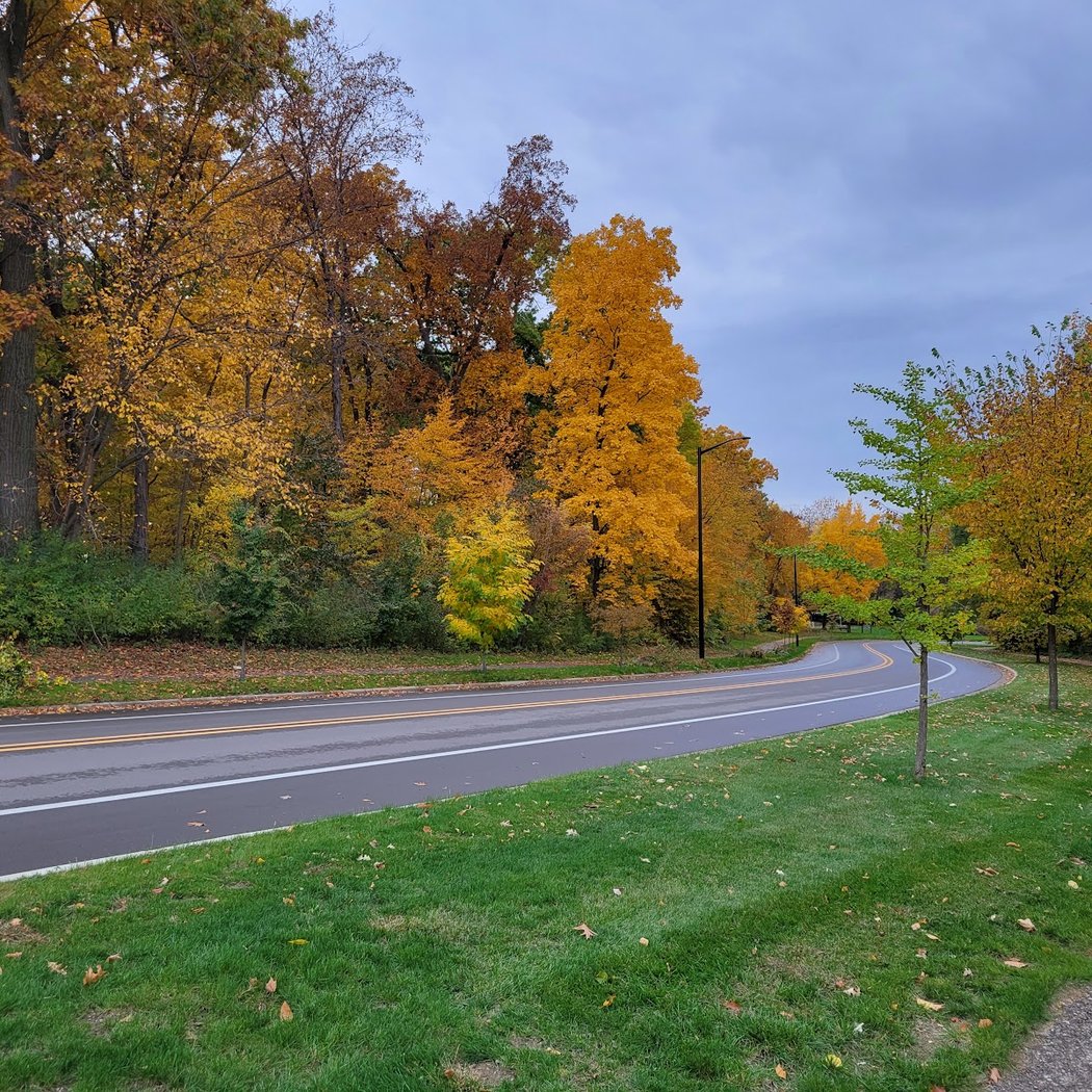 Huron Pkwy 1