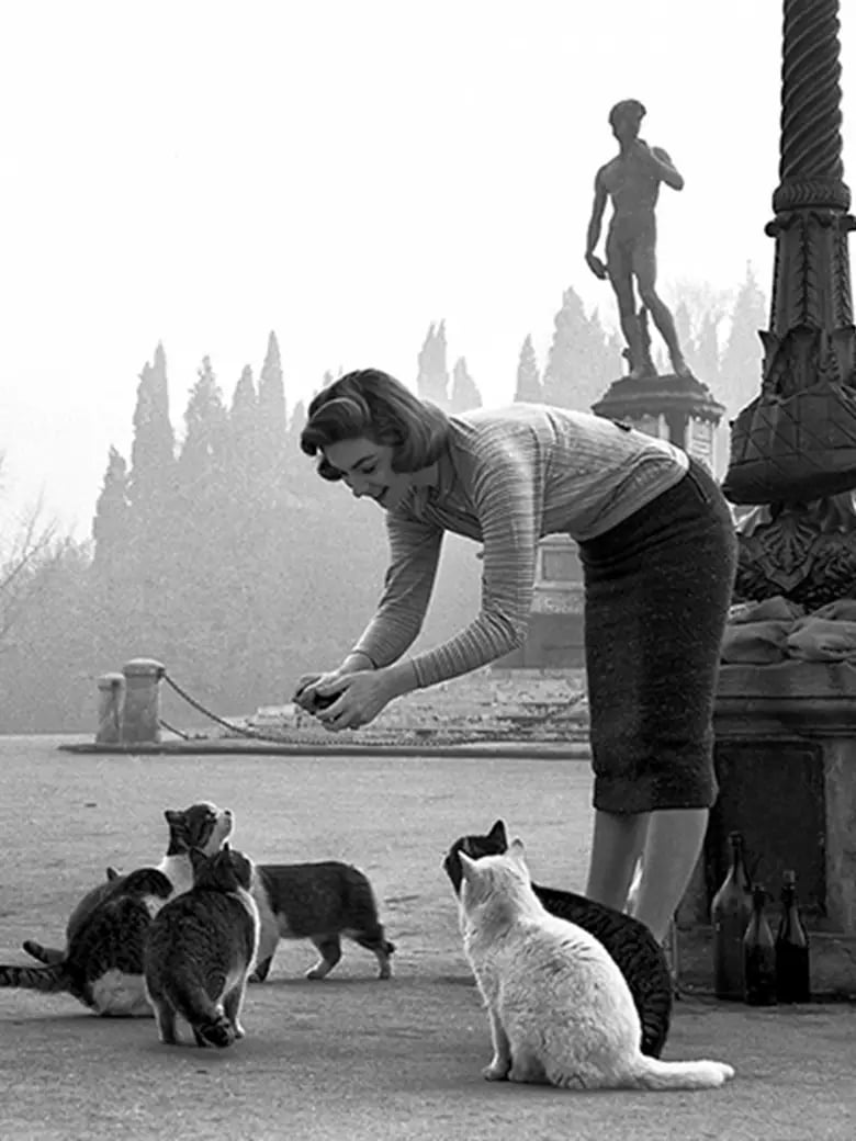 Firenze '50 '60 '70. Immagini dall'Archivio Foto Locchi