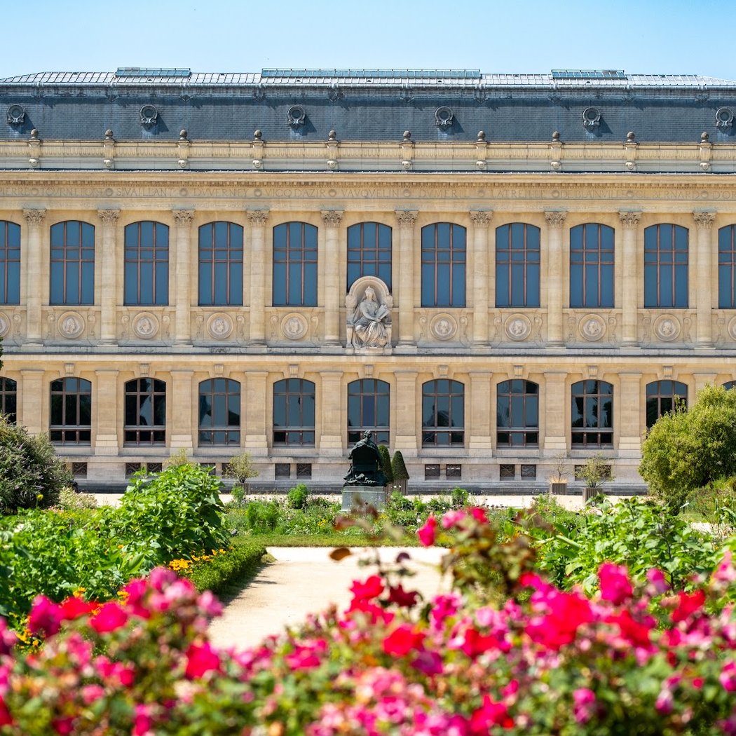 Festivals saisonniers au Jardin des Plantes 1