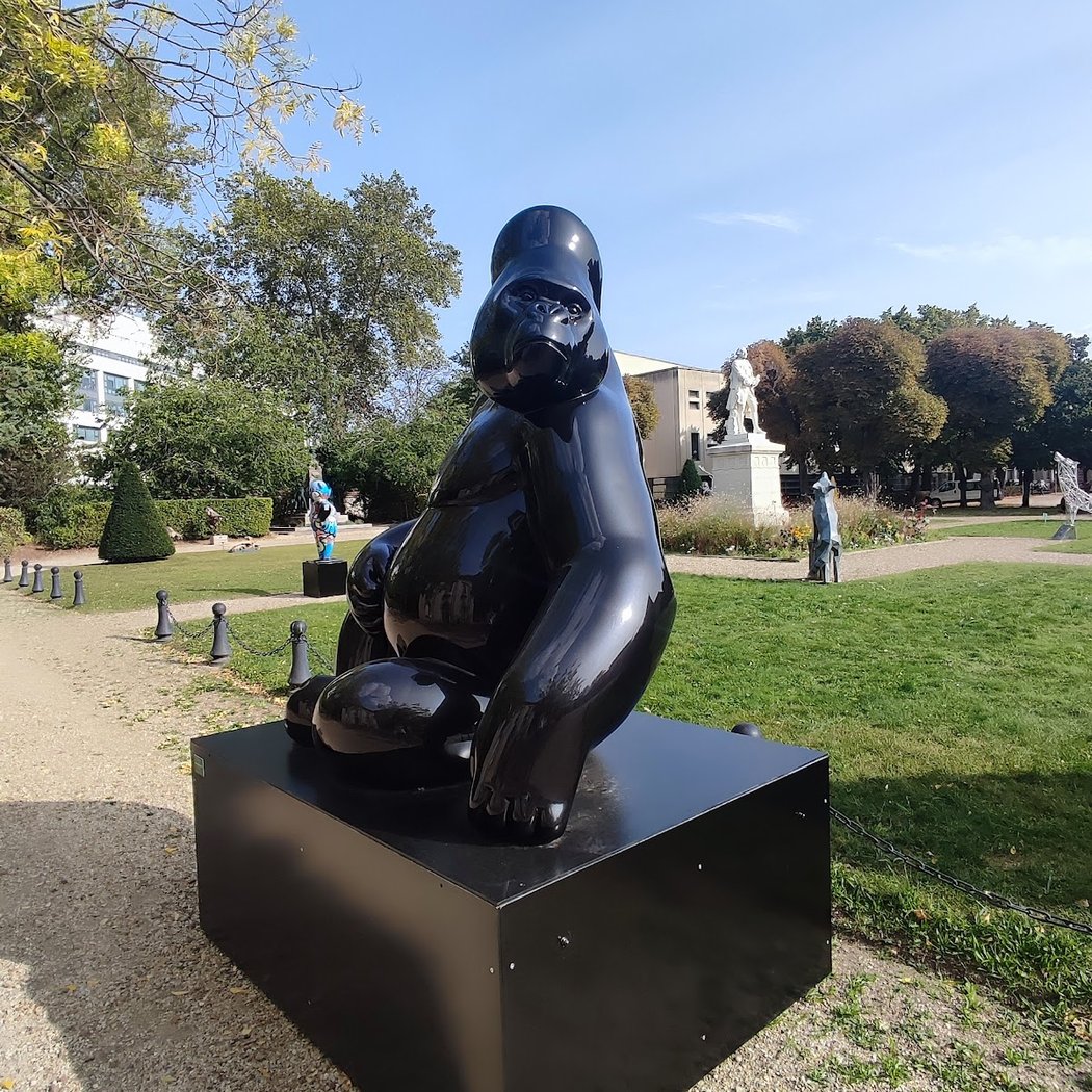Animal en monument 1