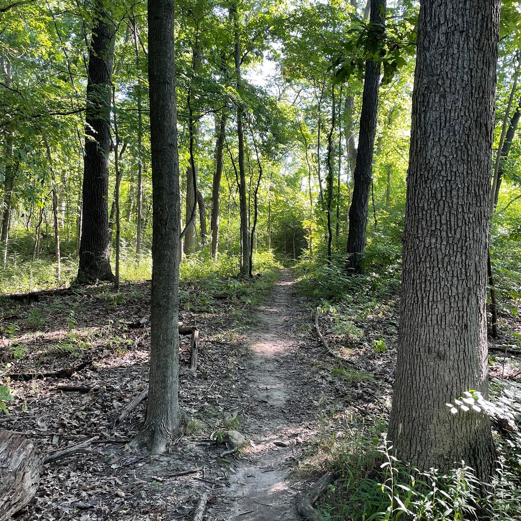 Stapp Nature Area 2