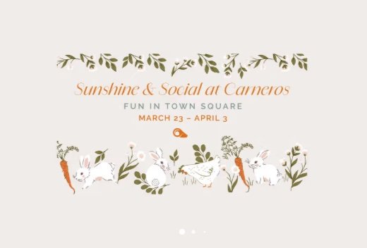 Sunshine & Social 1
